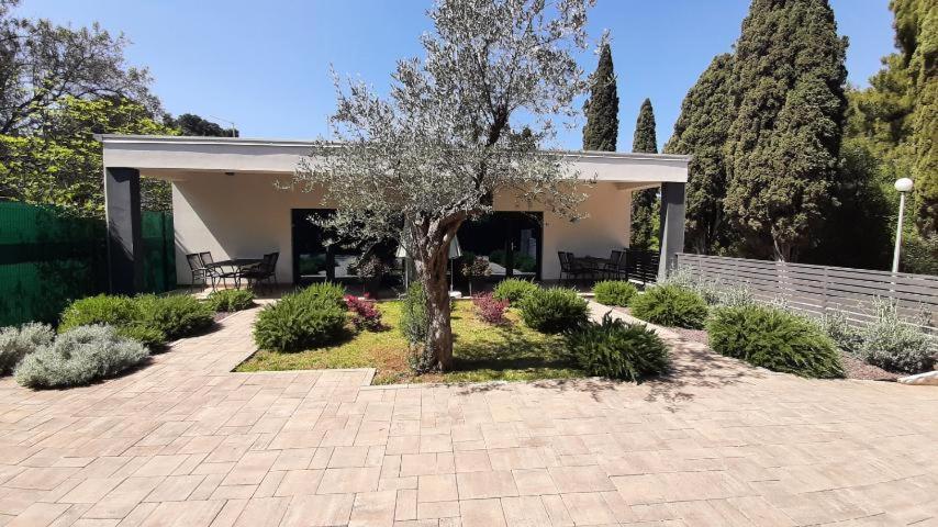 Apartmani Brajkovic Rovinj Exteriör bild