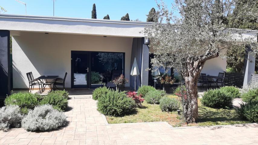 Apartmani Brajkovic Rovinj Rum bild